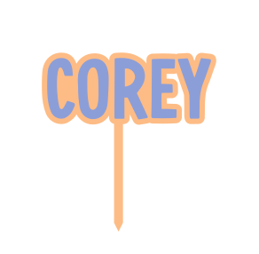 Single Name Cake Topper