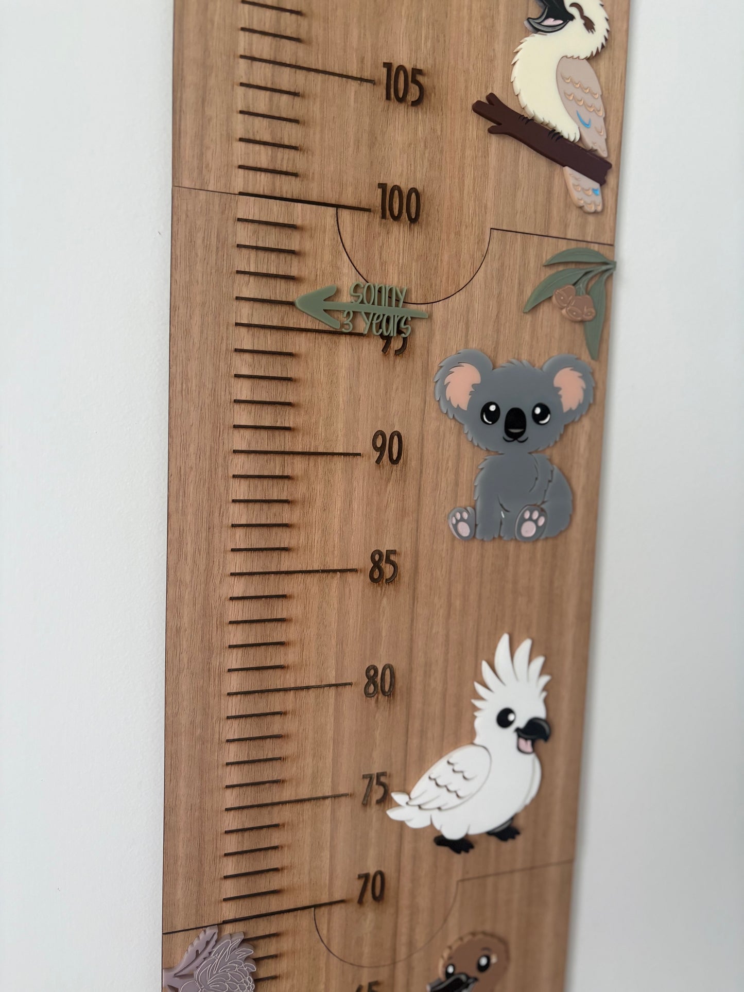 Australian Animals Height Chart