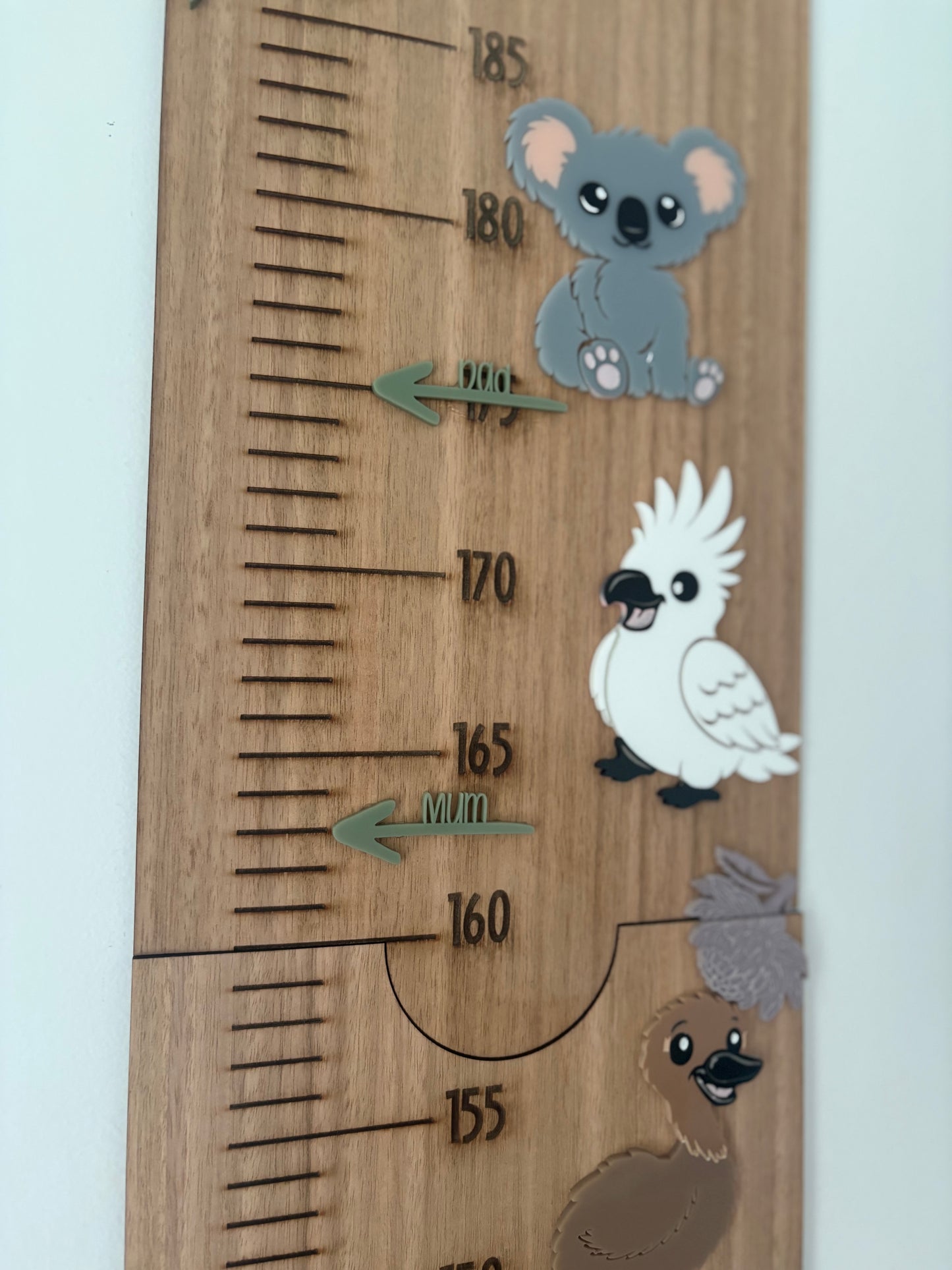 Australian Animals Height Chart